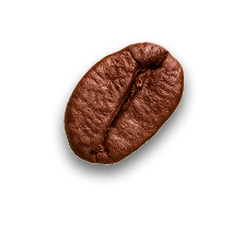 Bean